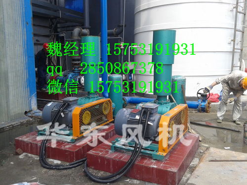 蒙古無動(dòng)力風(fēng)機(jī)報(bào)價(jià) 廠家